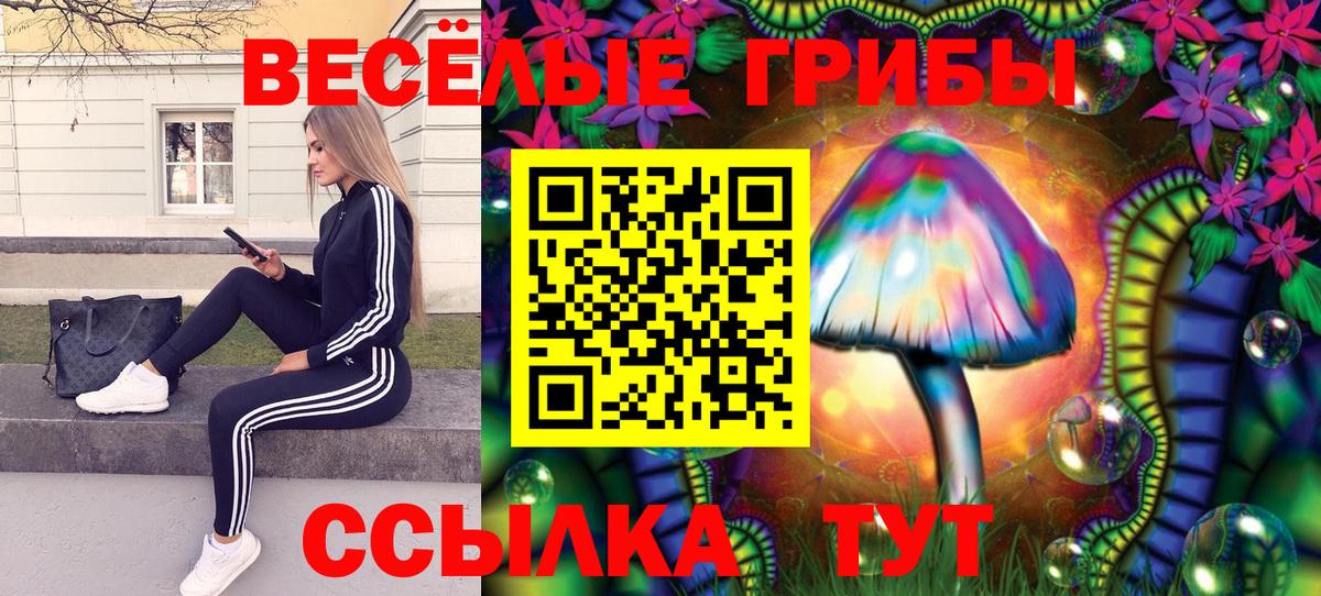 Псилоцибиновые грибы мицелий Учалы